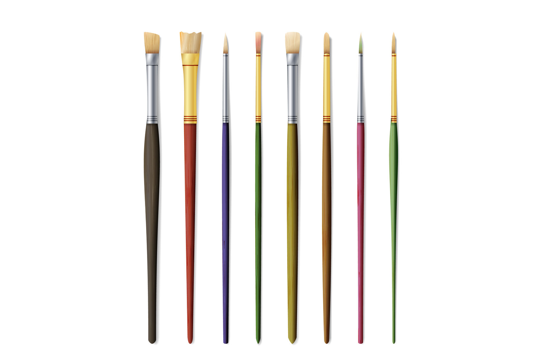 Oil painting brushes on a white background Vector Image
