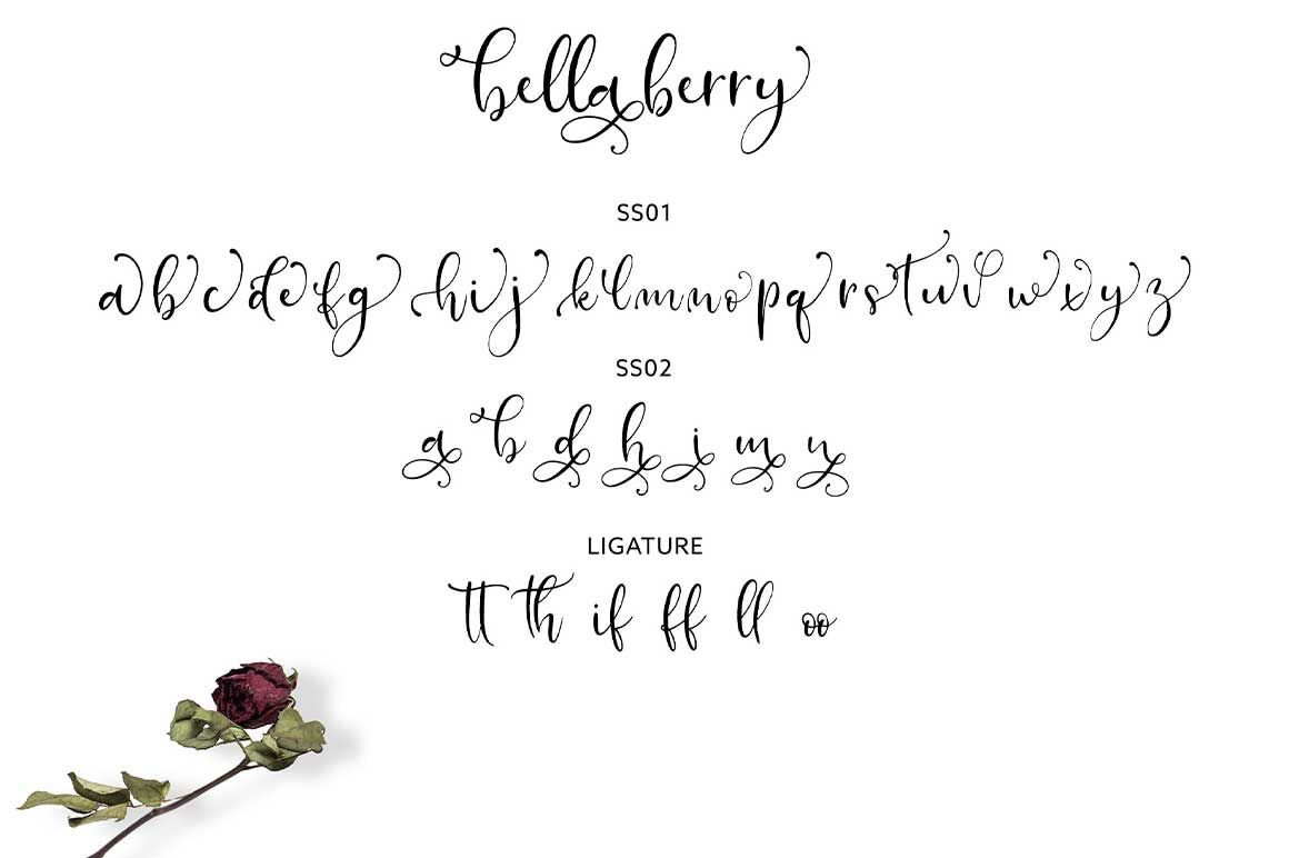 Bellaberry Handwritten Script By Juncreative Thehungryjpeg Com