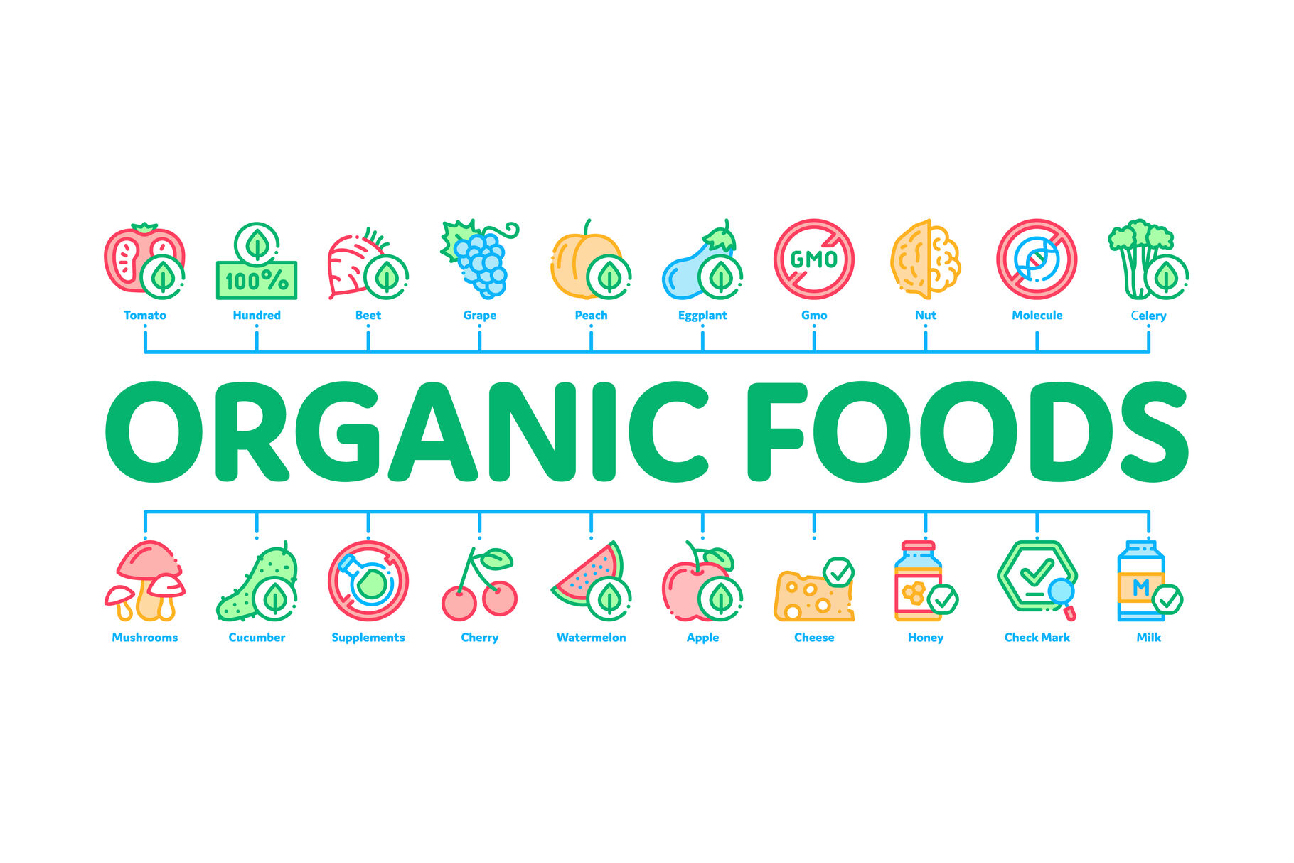 Organic Eco Foods Minimal Infographic Banner Vector By Pikepicture Thehungryjpeg Com
