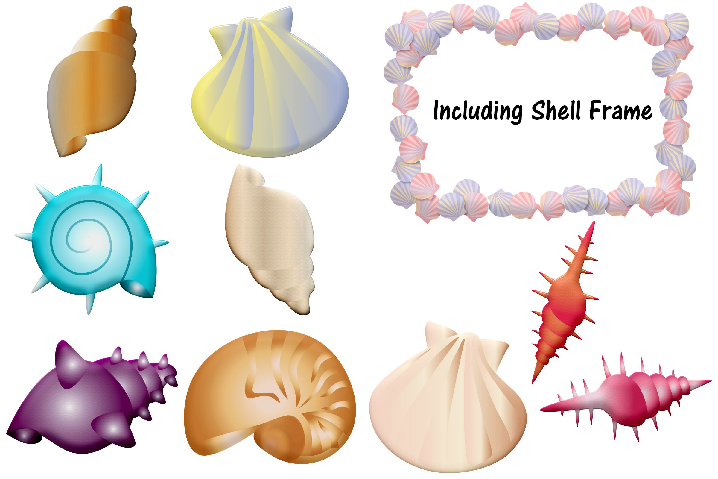 Sea Shells Clip Art By Me and Ameliè