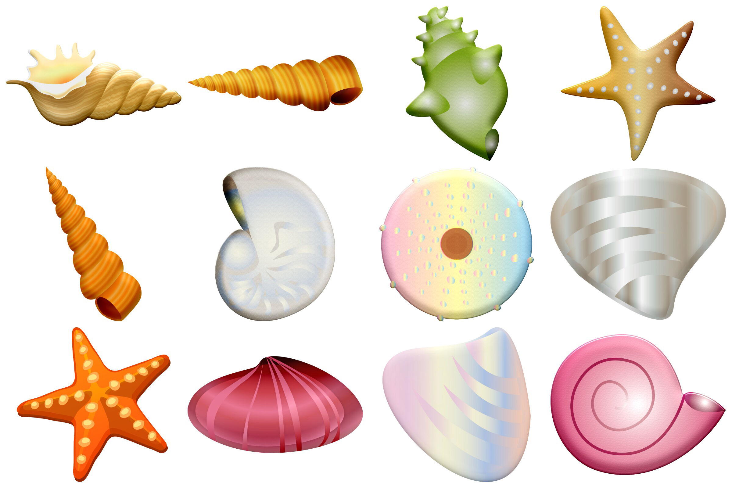 clip art seashells