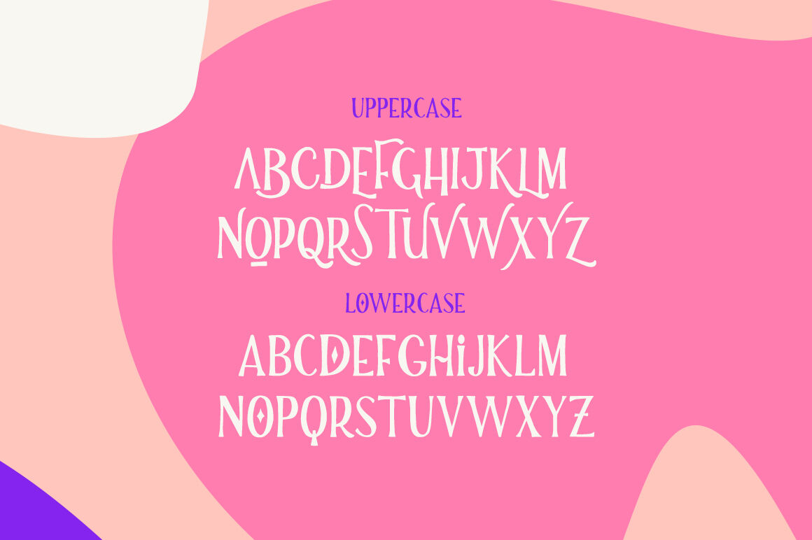 Fidencio Serif Font By Salt Pepper Designs Thehungryjpeg Com