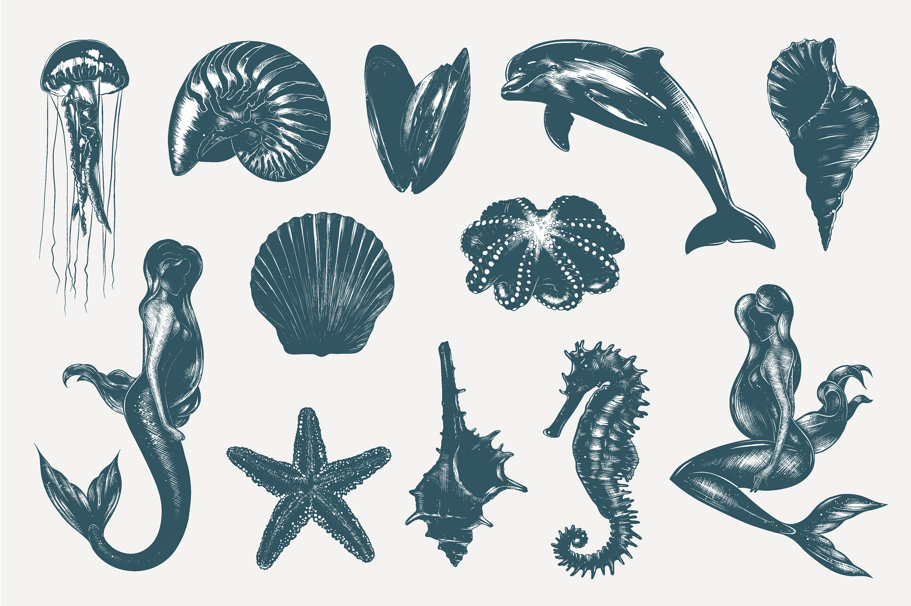 Marine Life Drawing Royalty Free SVG, Cliparts, Vectors, And Stock  Illustration. Image 9056352. | Sea animals drawings, Sea creatures drawing,  Life drawing