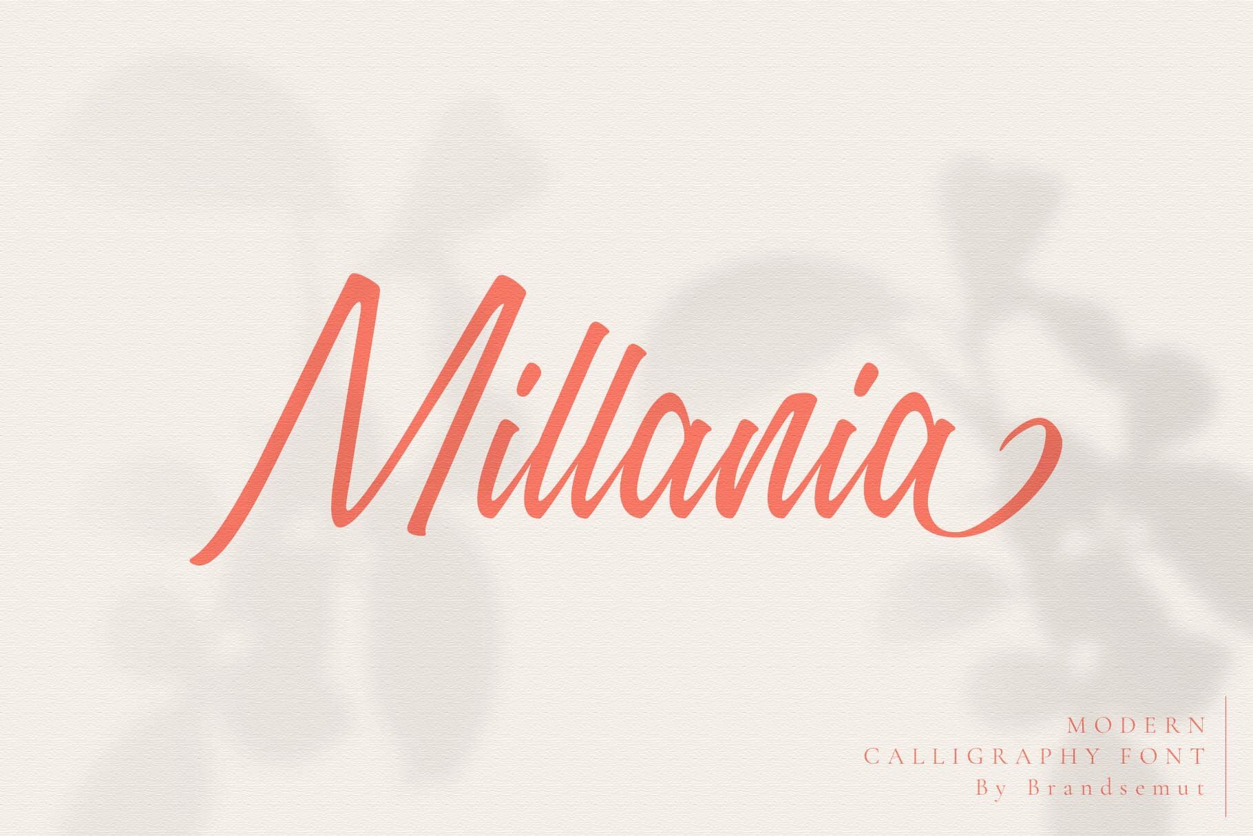 Millania Modern Script Font By Brandsemut Thehungryjpeg Com