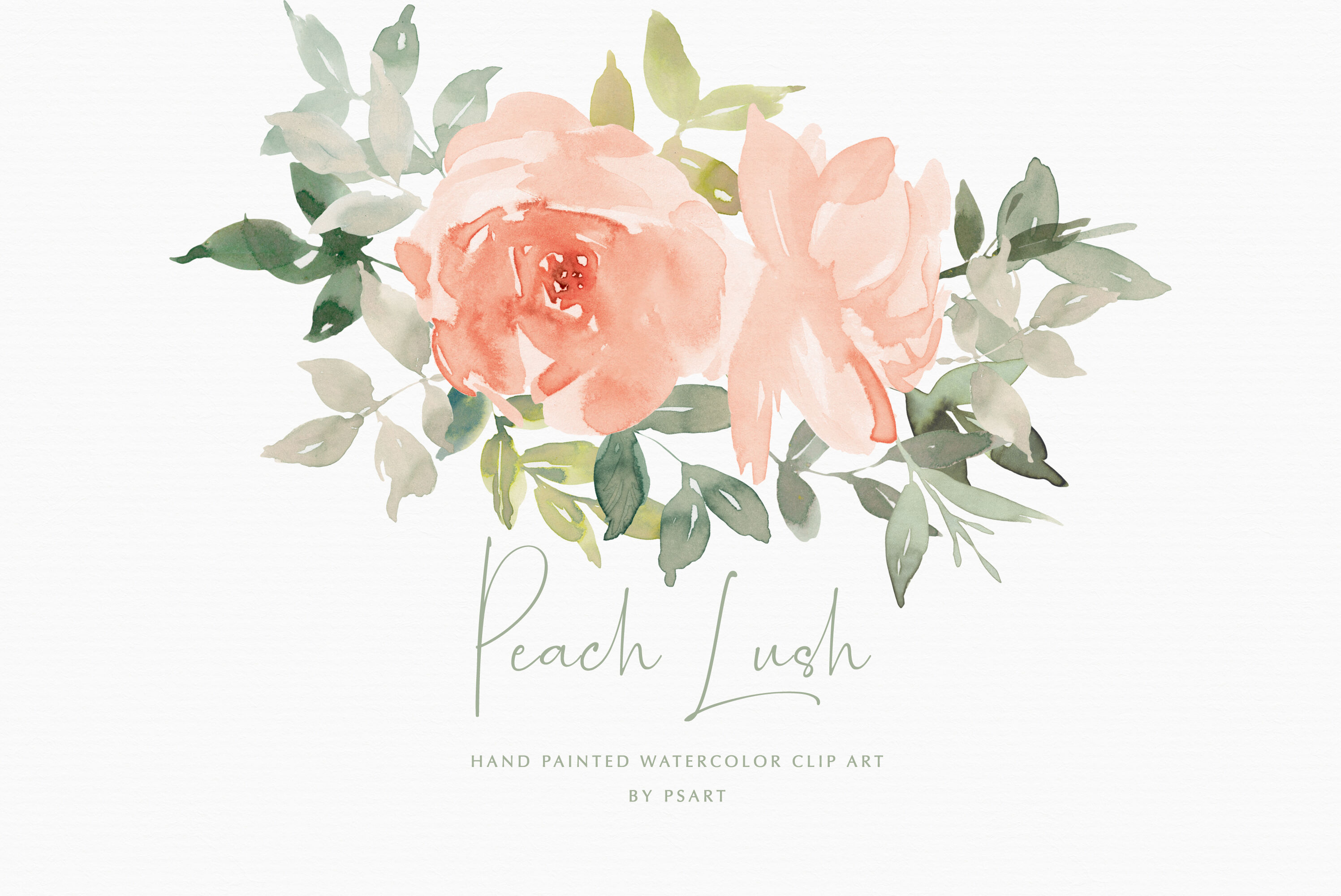 Blush Watercolor Floral Clipart Set By Patishop Art Thehungryjpeg Com ...