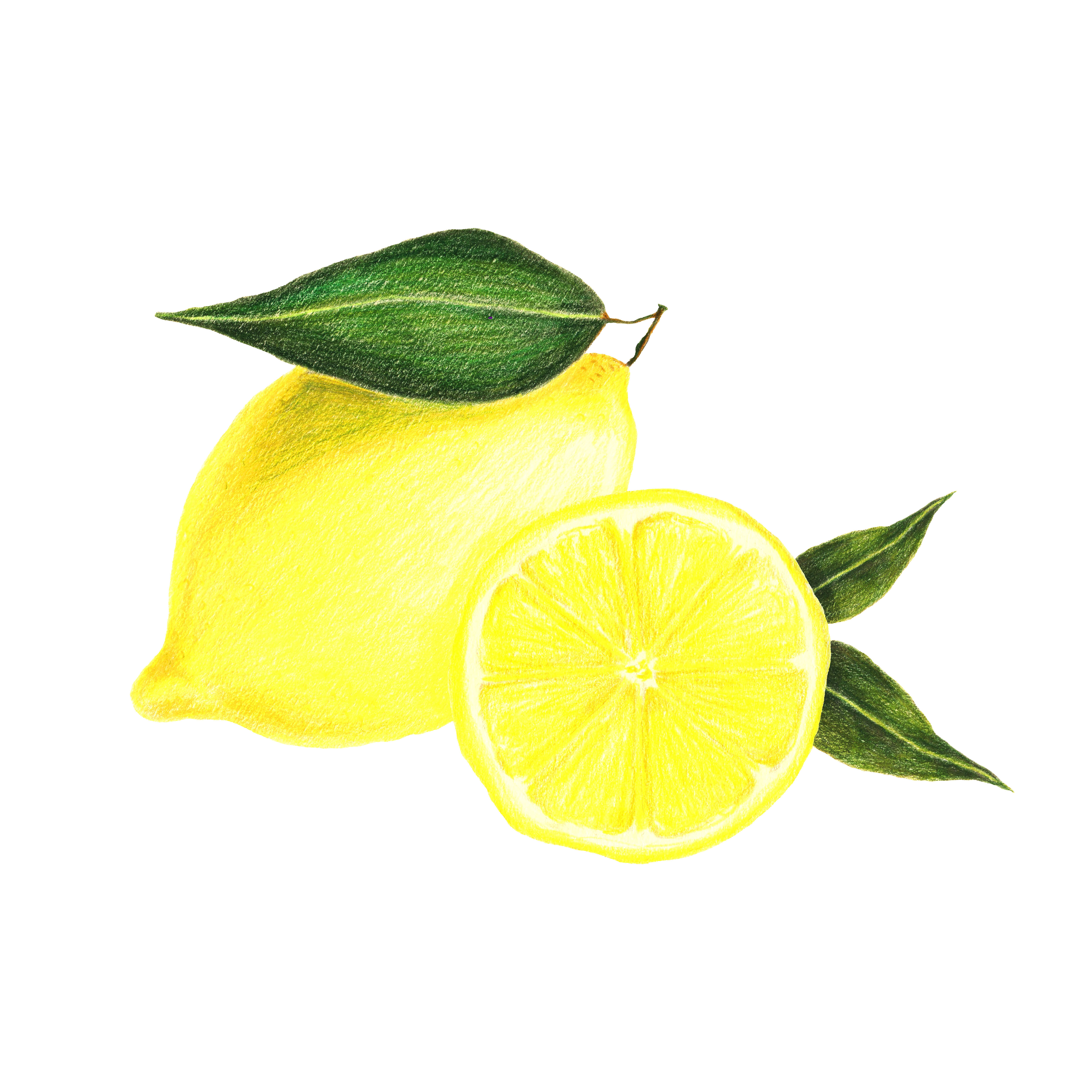 colored pencils Composition of lemons