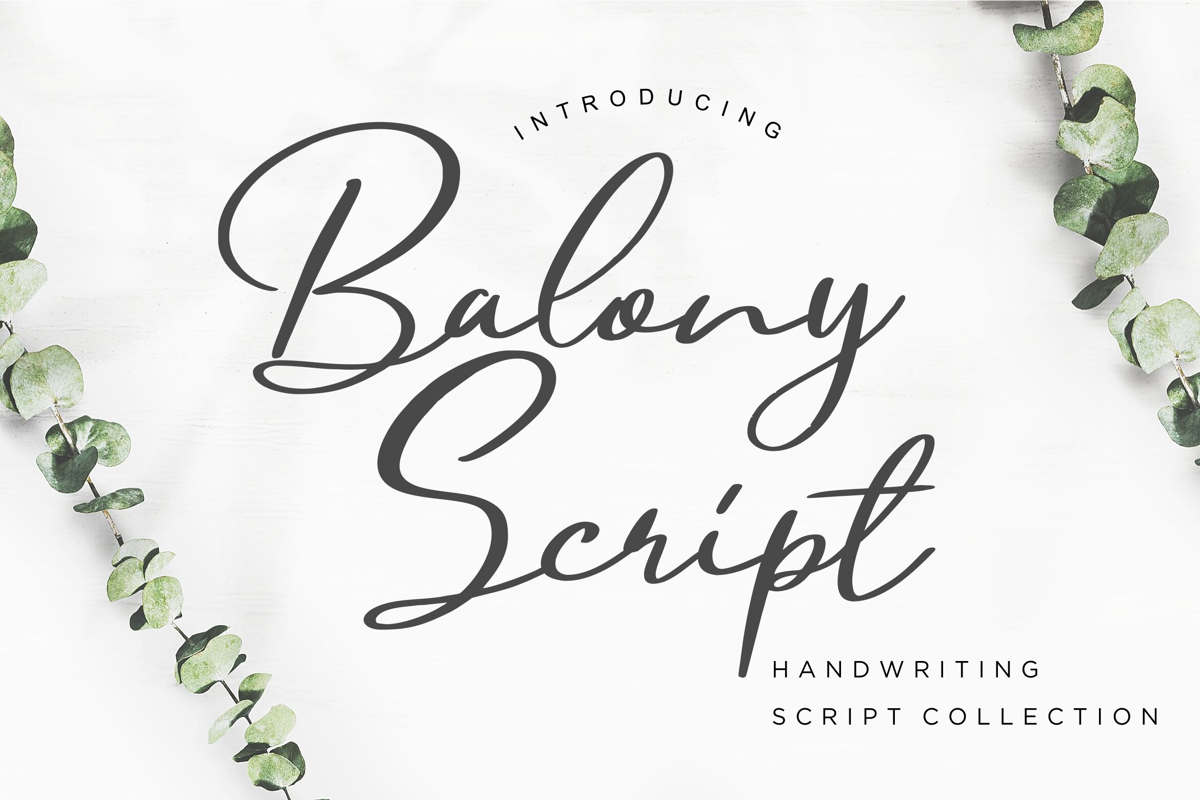 Balony Script Handwriting By Creatype Studio Thehungryjpeg Com