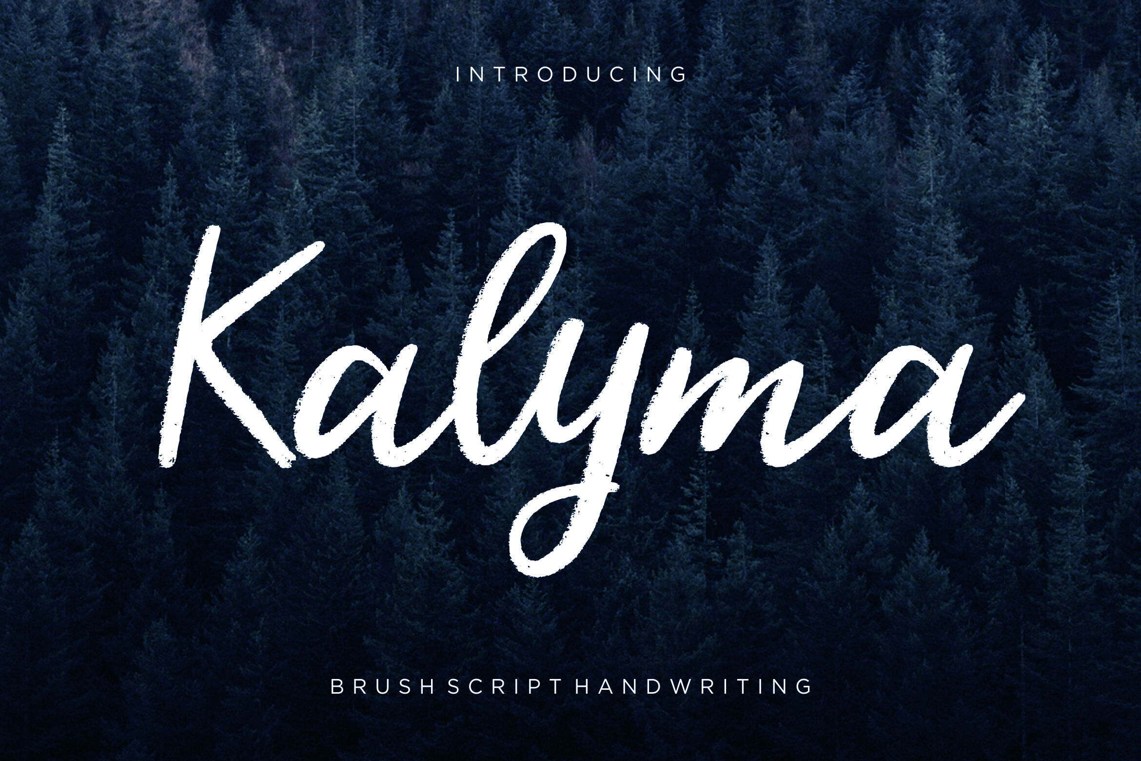 Kalyma Brush Script By Creatype Studio Thehungryjpeg Com
