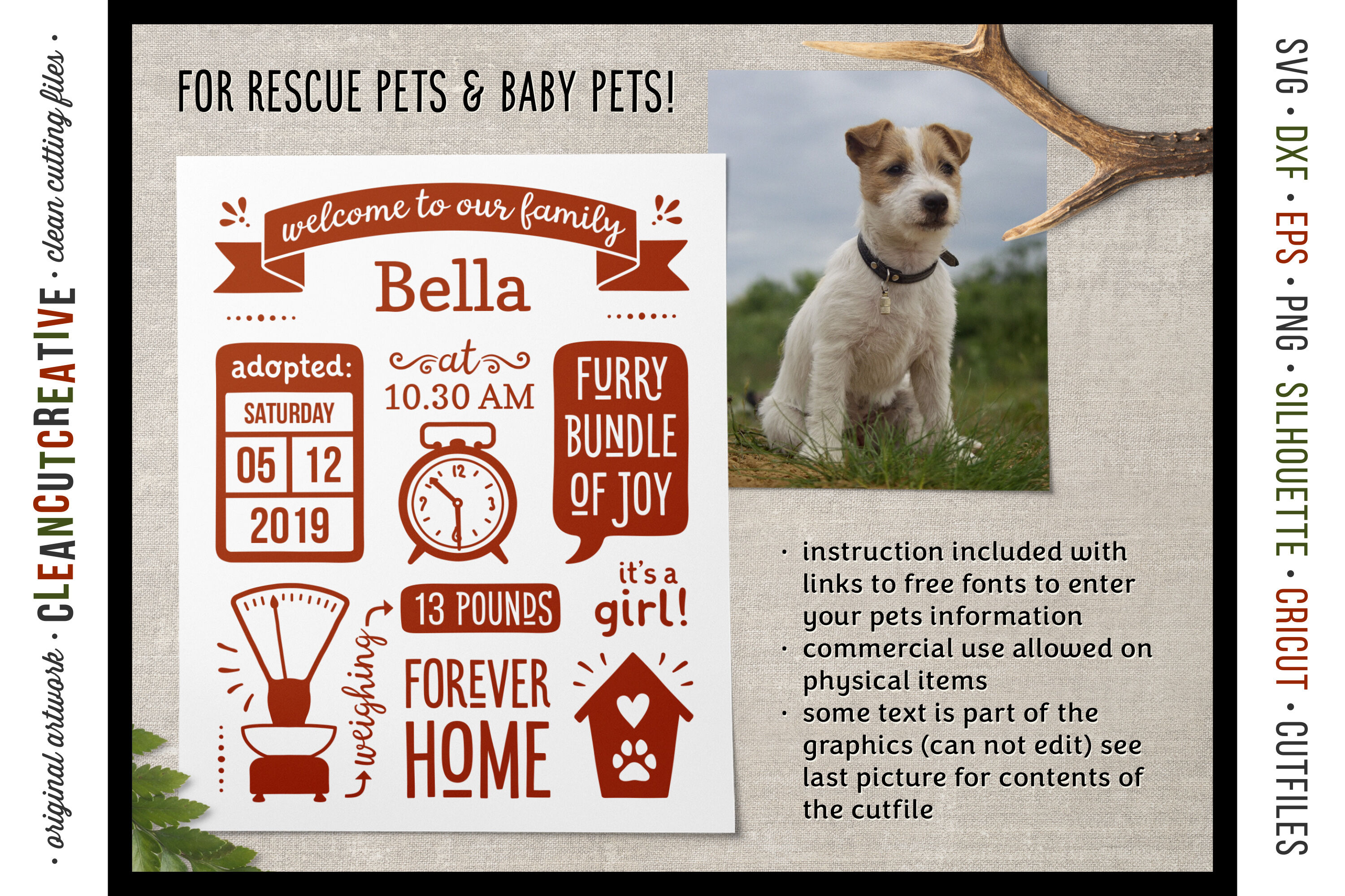 Dog Puppy Announcement Template Rescue Pet Cat Kitten Adoption Sign By Cleancutcreative Thehungryjpeg Com