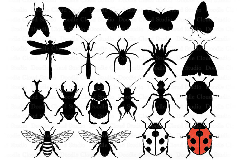 insect clipart black and white