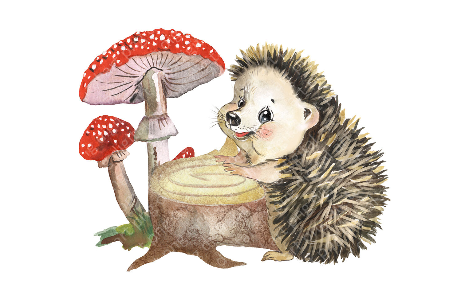 Hedgehog family watercolor clipart, cute little hedgehog clip art By