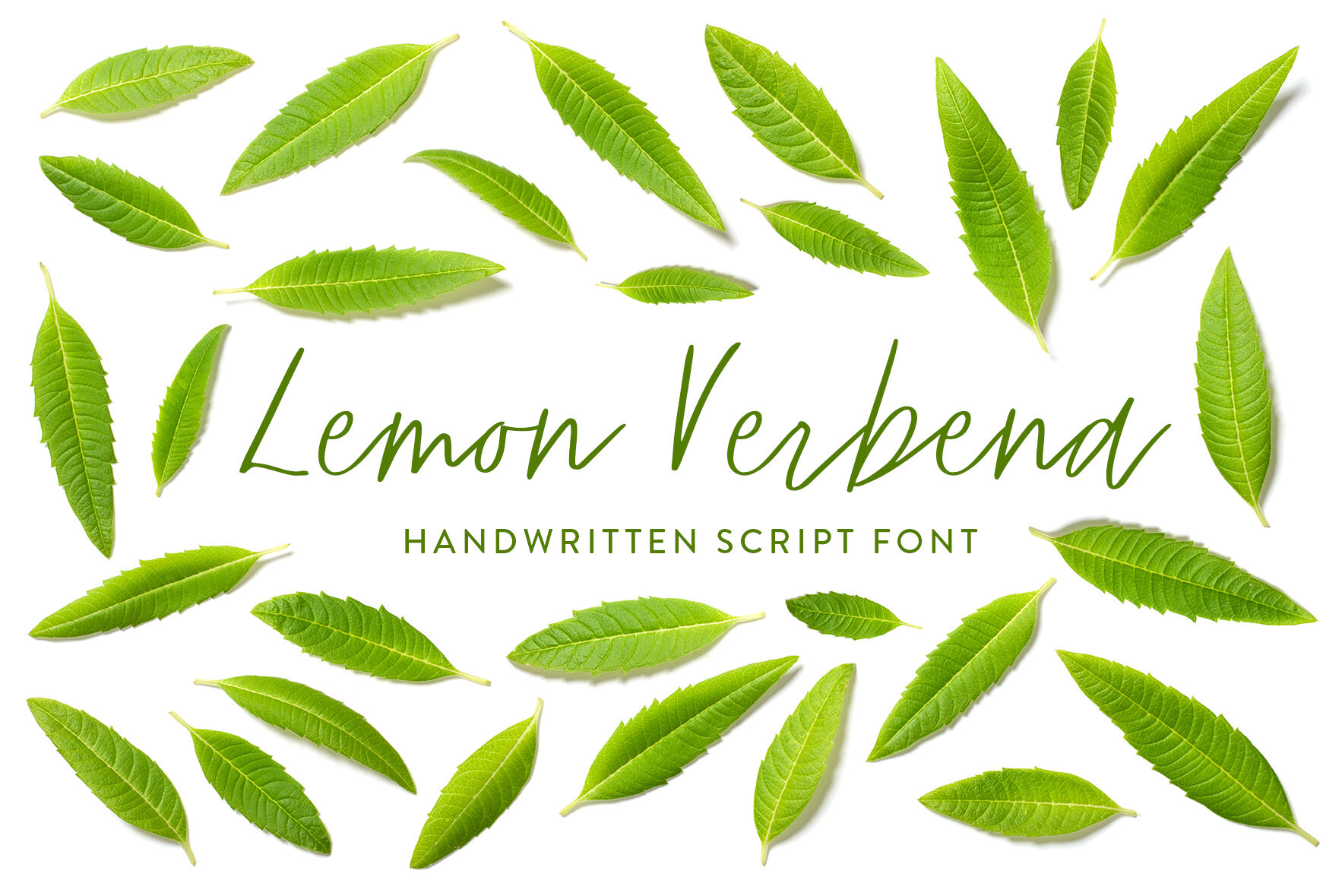Lemon Verbena Handwritten Font By Susan Brand Design Thehungryjpeg Com