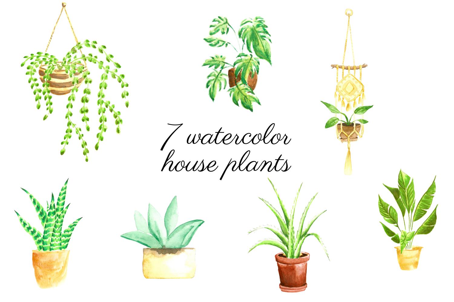 Watercolor Home Decor Set Boho Watercolor House Plants By Old Continent Design Thehungryjpeg Com Cactus clipart hand drawn cactus clipart vector cactus art | etsy. decor set boho watercolor house plants