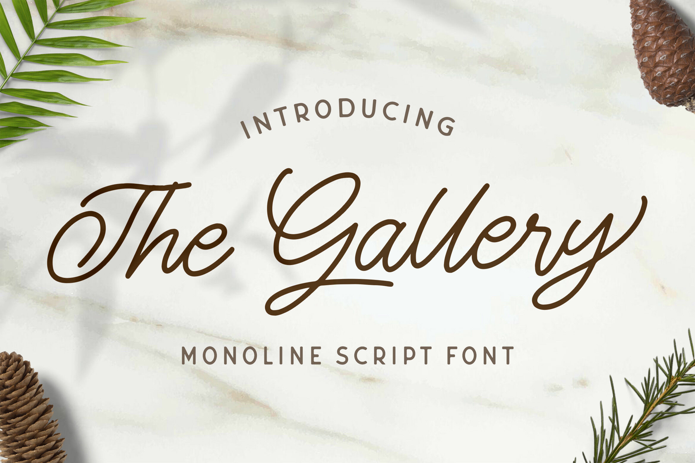 The Gallery Monoline Script Font By Stringlabs Thehungryjpeg Com