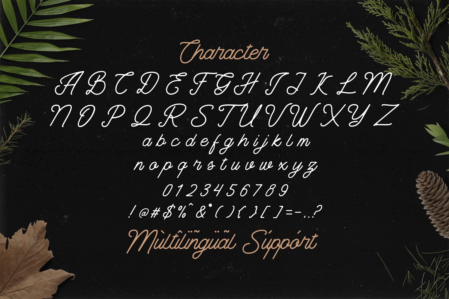 The Banten Monoline Script Font By Stringlabs Thehungryjpeg Com