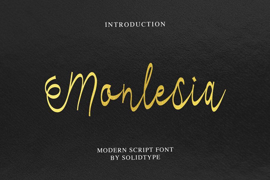 Monlesia Script By Solidtype Thehungryjpeg Com
