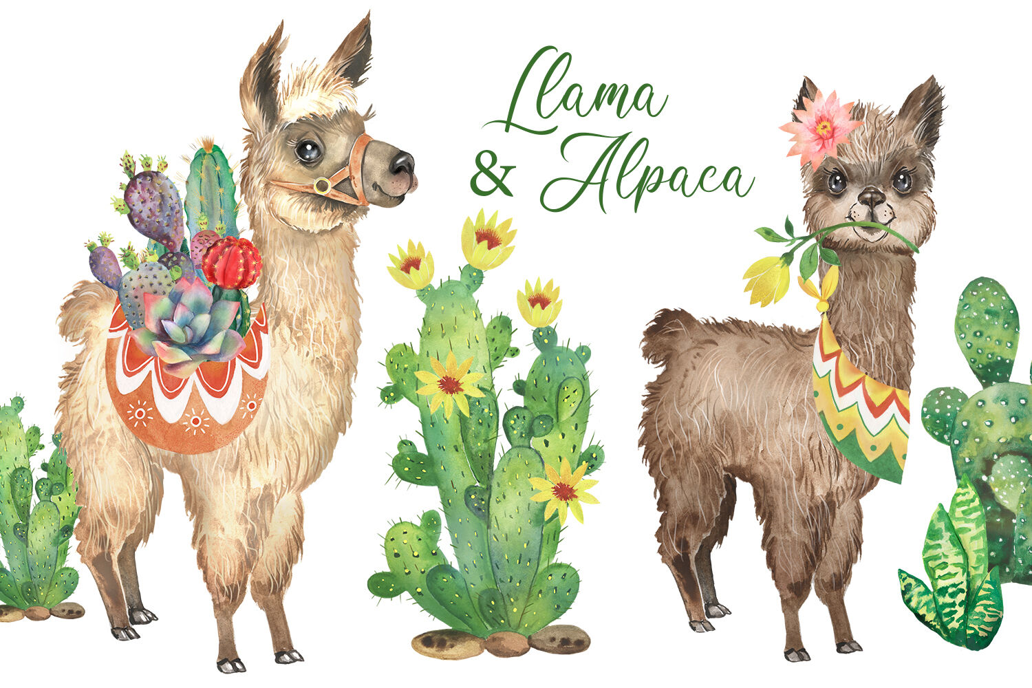 alpaca watercolor llama animal clipart watercolor clipart llama clipart par...