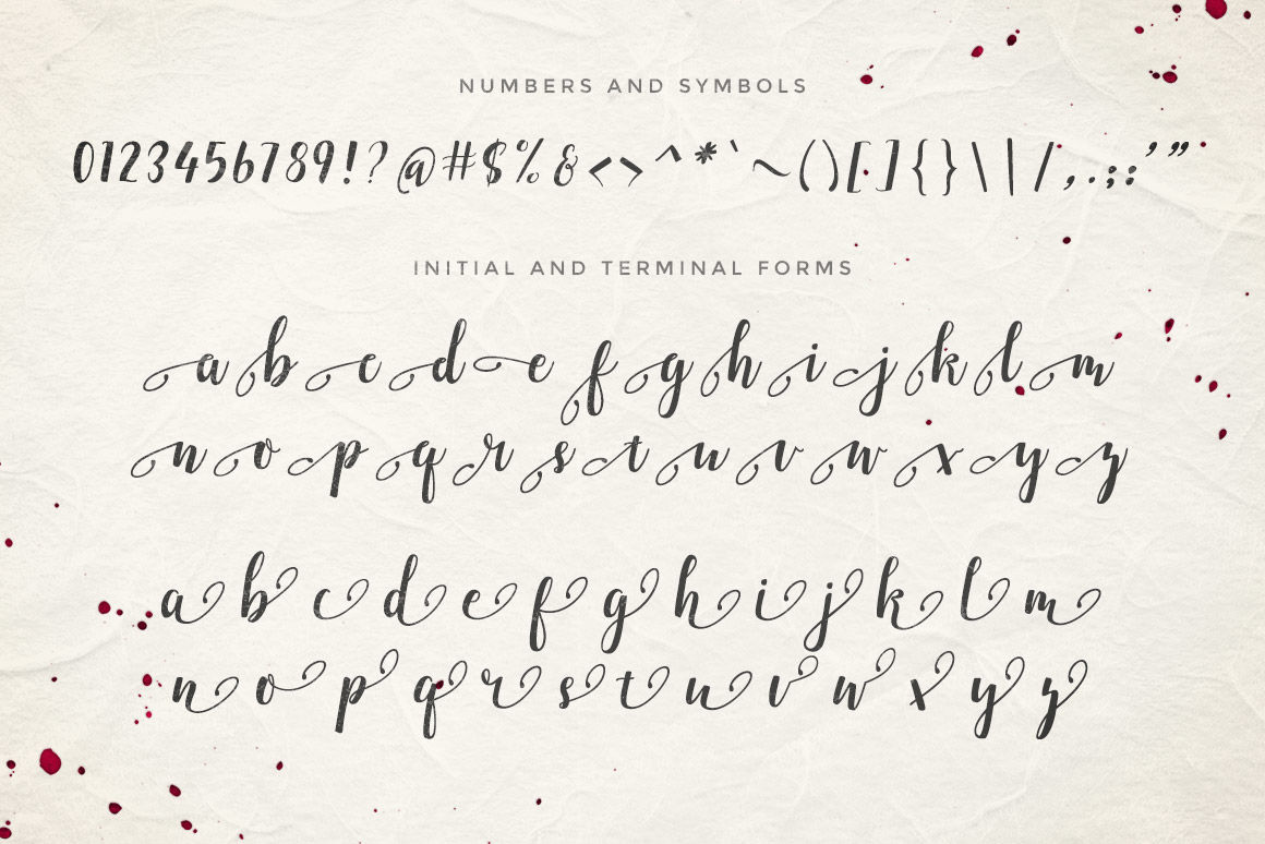 Emellie Script Font By Design Panoply Thehungryjpeg Com