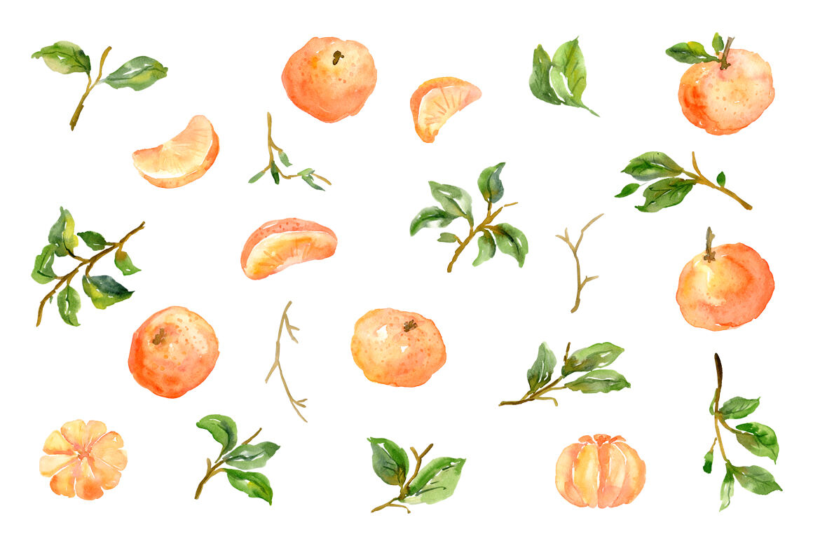 Watercolor Tangerines Citrus Fruits Png By WatercolorFlowers ...