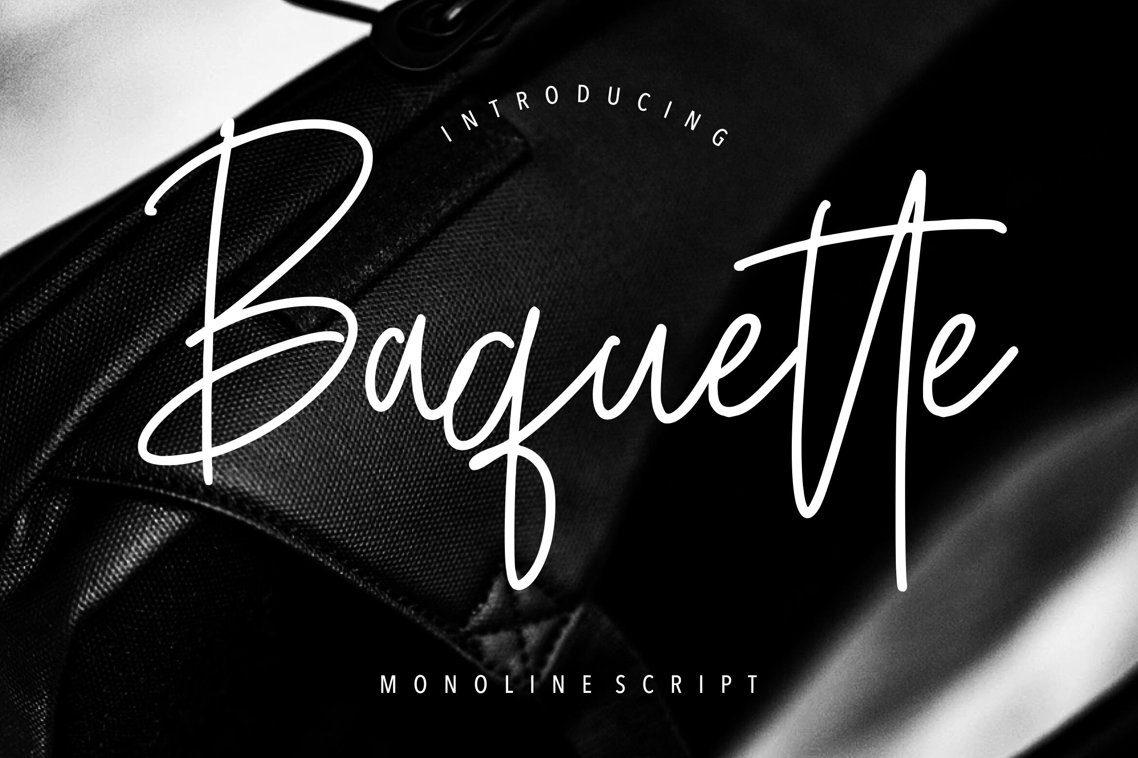 Baquette Monoline Script By Creatype Studio Thehungryjpeg Com