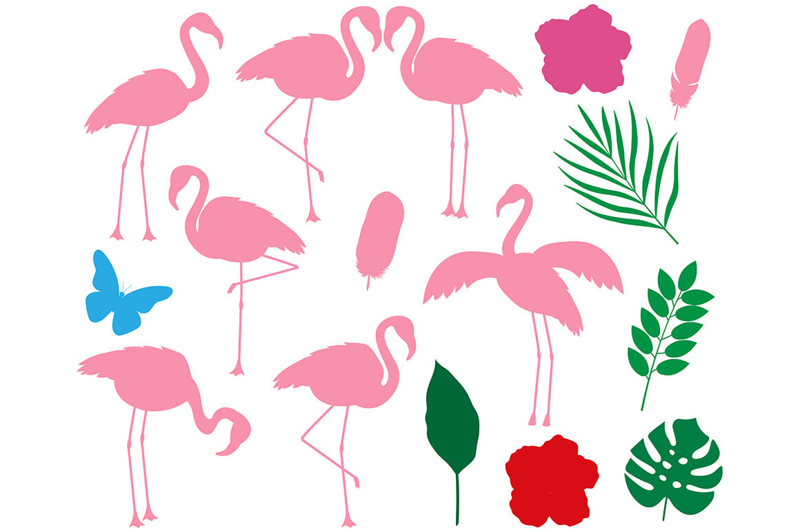 Set bird flamingo vector By IrinaShishkova | TheHungryJPEG