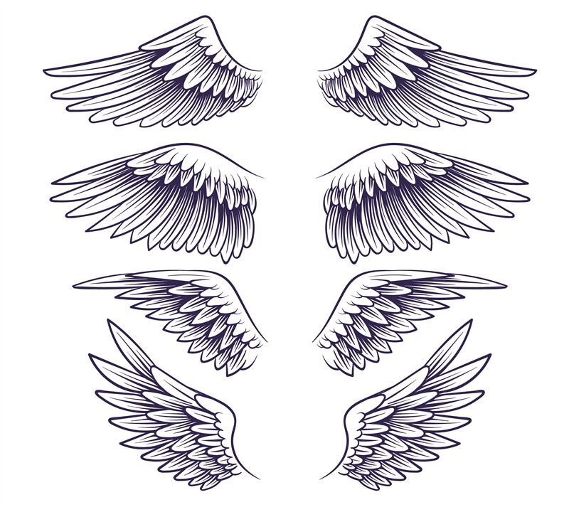 Hand drawn wing. Sketch angel wings with feathers, elements for logo