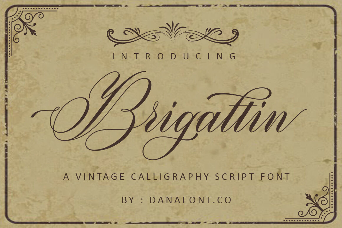 Brigattin By Danafont Co Thehungryjpeg Com