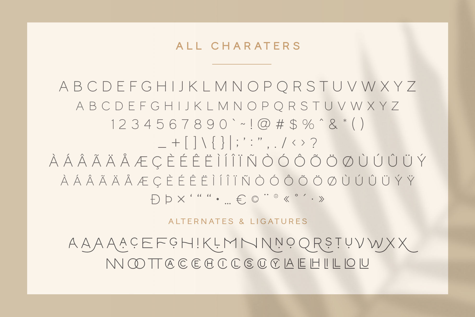 Monocole Playful Sans Serif By Craft Supply Co Thehungryjpeg Com