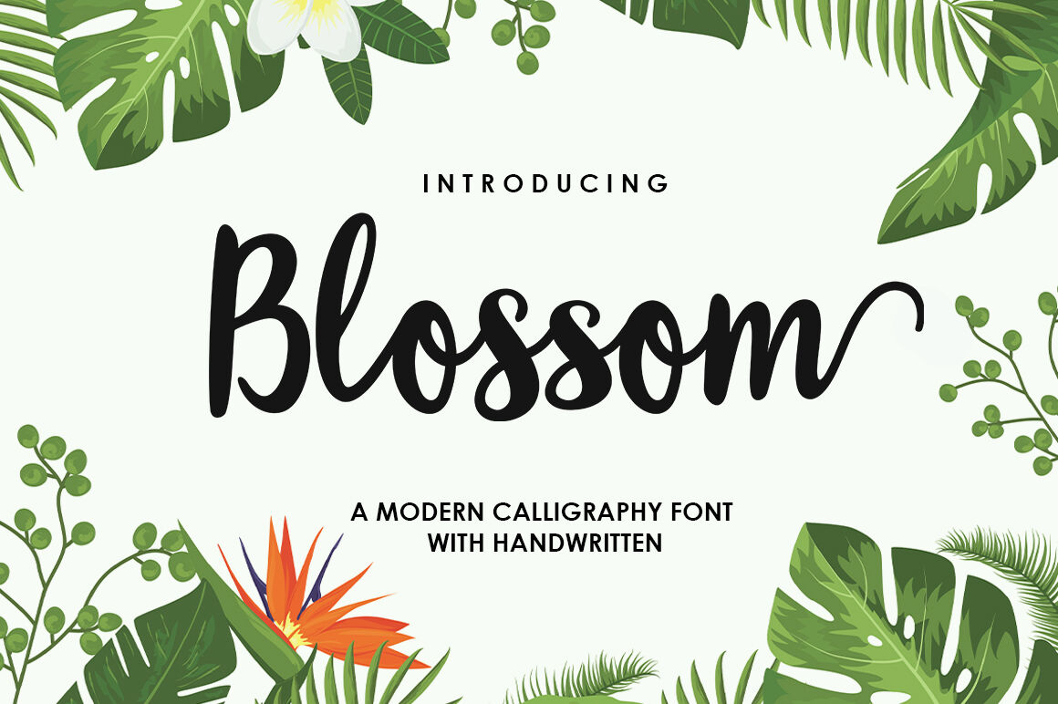 Blossom Script By Samrenal Thehungryjpeg Com