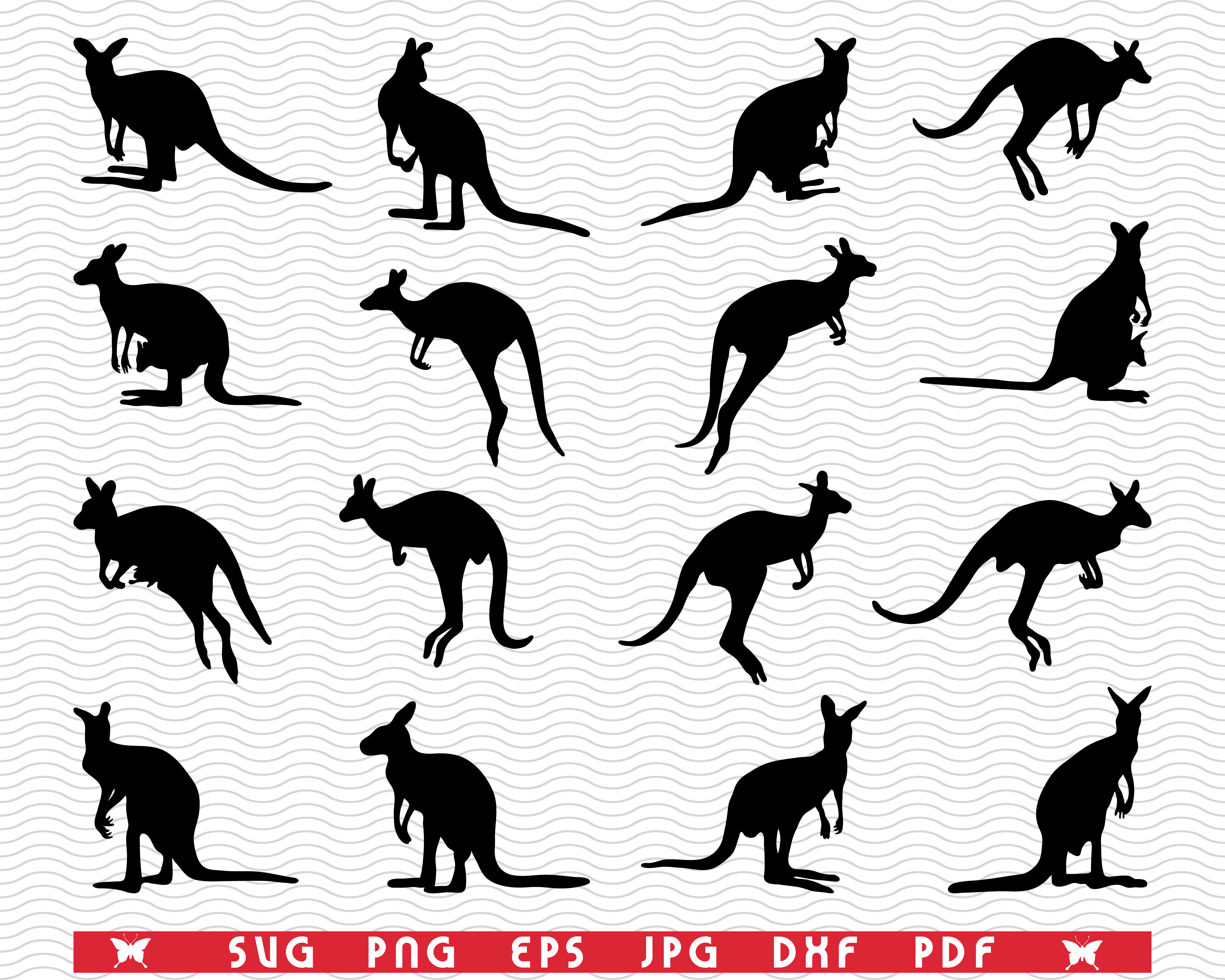 Download SVG Kangaroo, Black silhouette, Digital clipart By DesignStudioRM | TheHungryJPEG.com