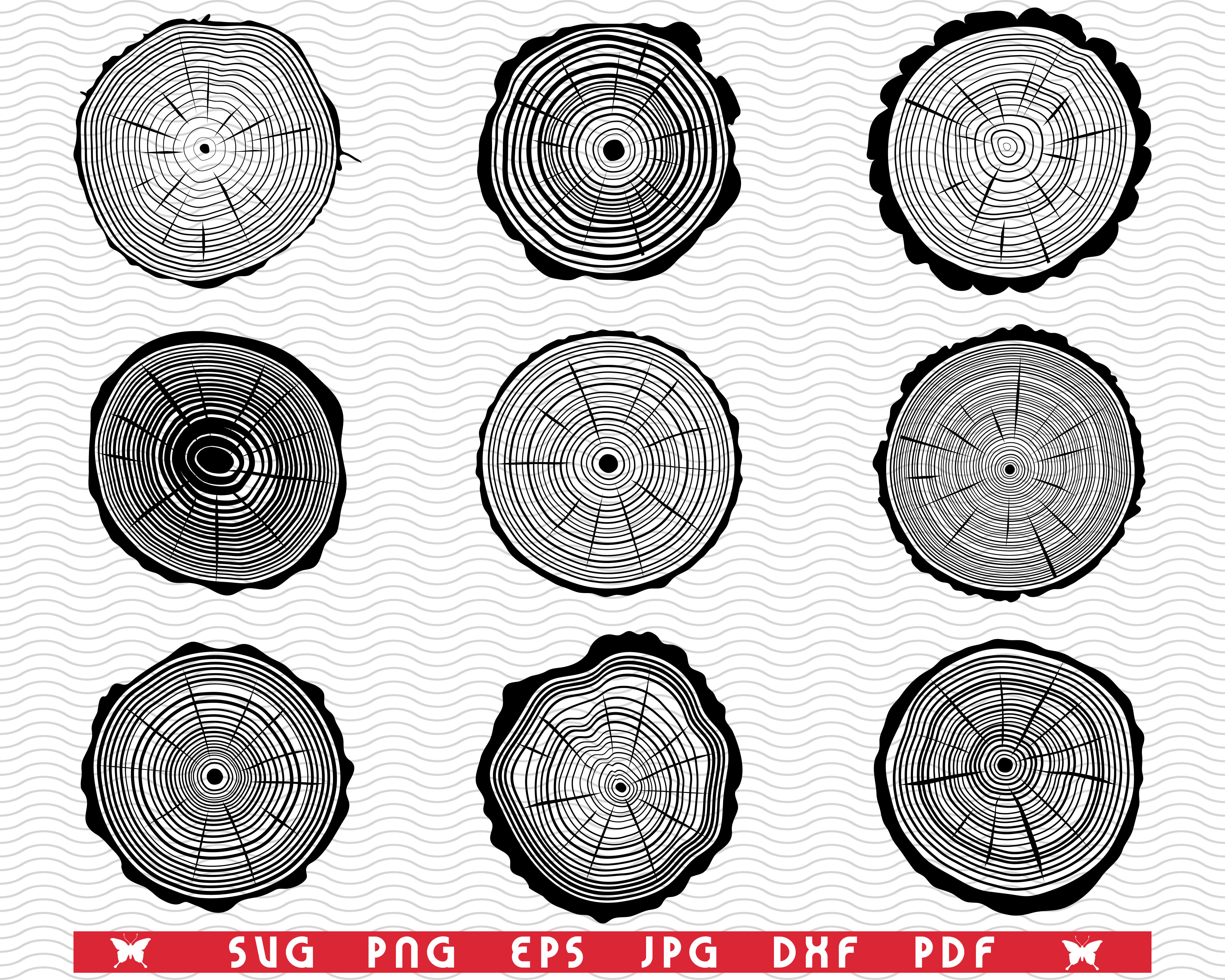 Svg Rings Of Stumps Texture Of Tree Digital Clipart By Designstudiorm Thehungryjpeg Com