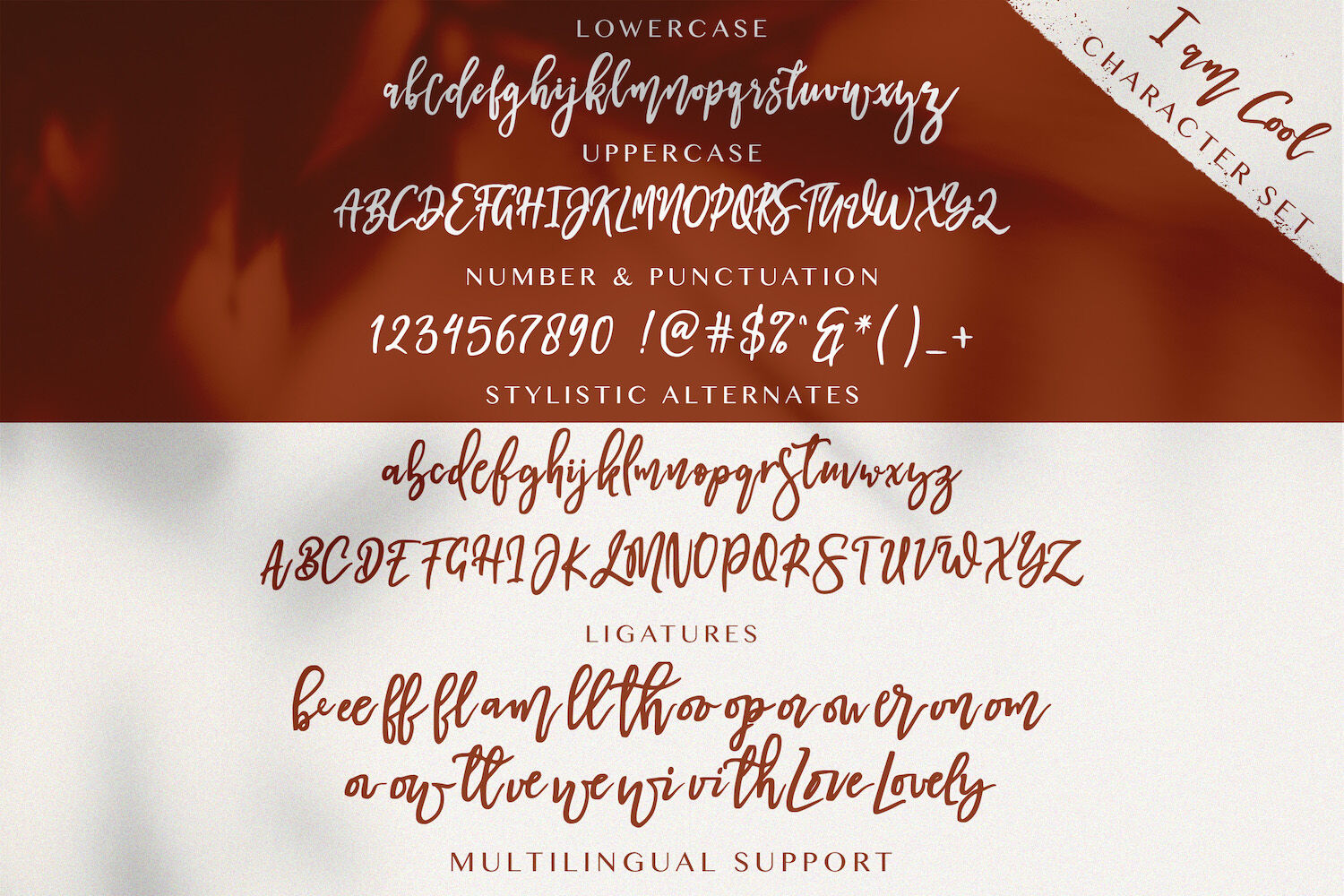 I Am Cool Brush Script Font By Stringlabs Thehungryjpeg Com