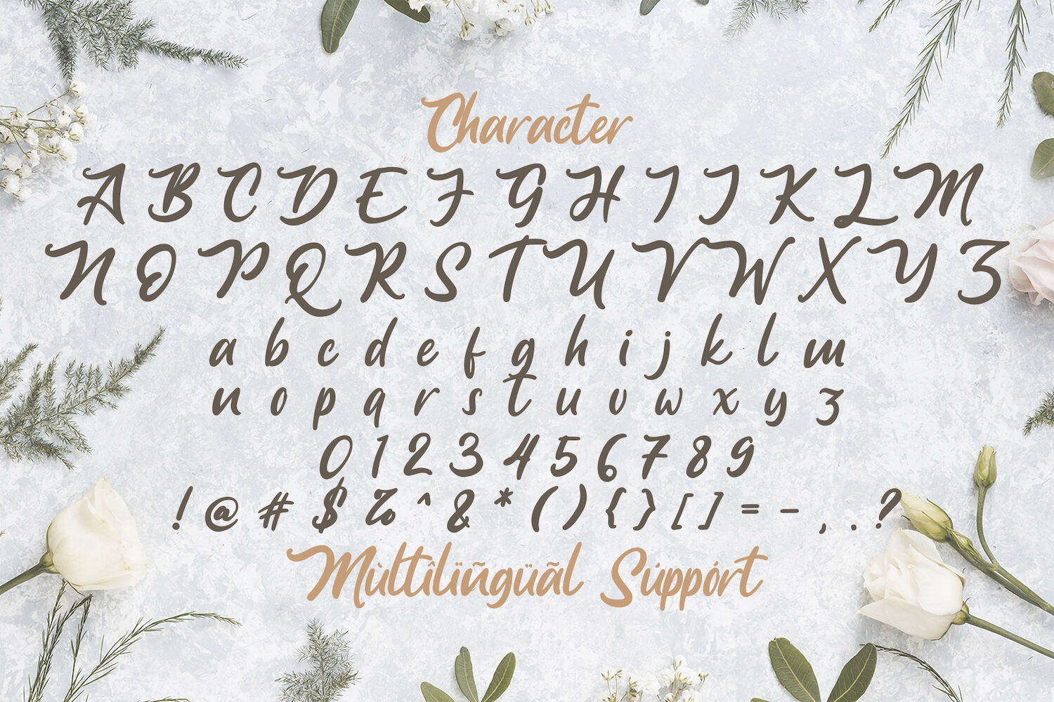 Anjelica Script Bold Script Font By Stringlabs Thehungryjpeg Com