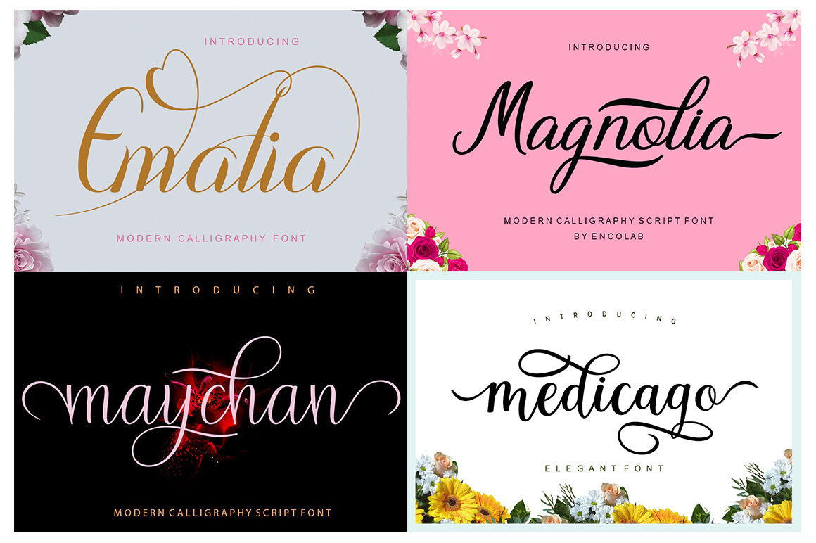 Font Bundle Collection By Encolab Thehungryjpeg Com