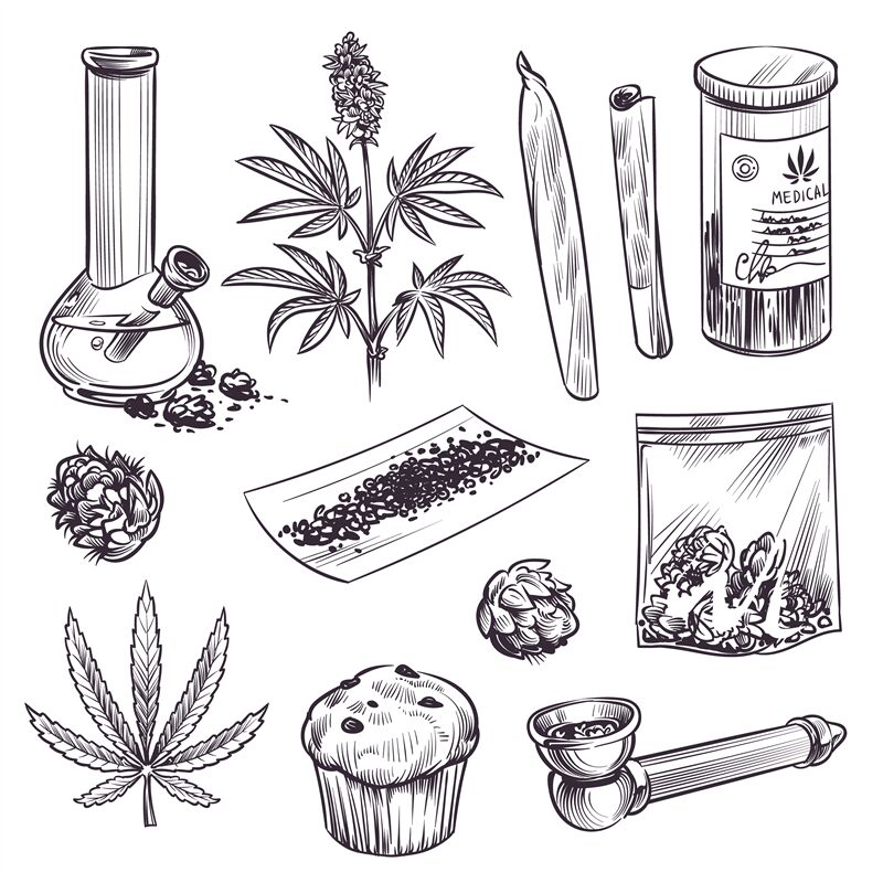 ori_3795929_qakinazy6mh51mkwhr0yynb0a0v8g4v3j6rzngrj_sketch-cannabis-cosmetic-and-medical-plant-marijuana-leaves-weed-joi.jpg