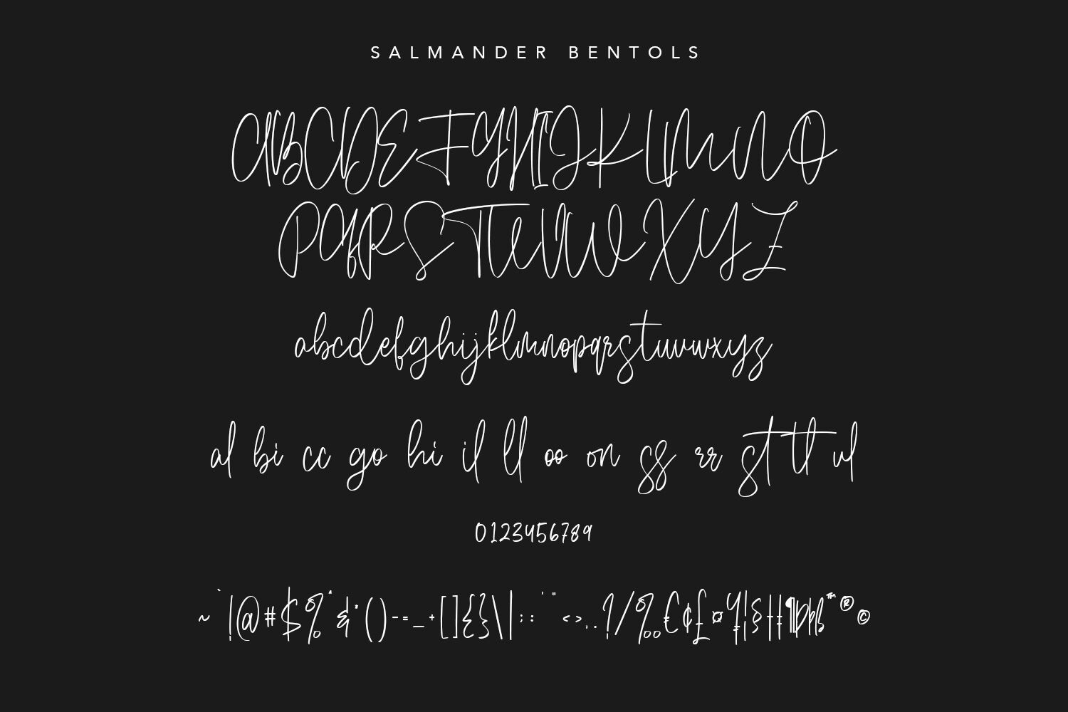 Salmander Bentols Script Signature Typeface Font By Maulana Creative Thehungryjpeg Com