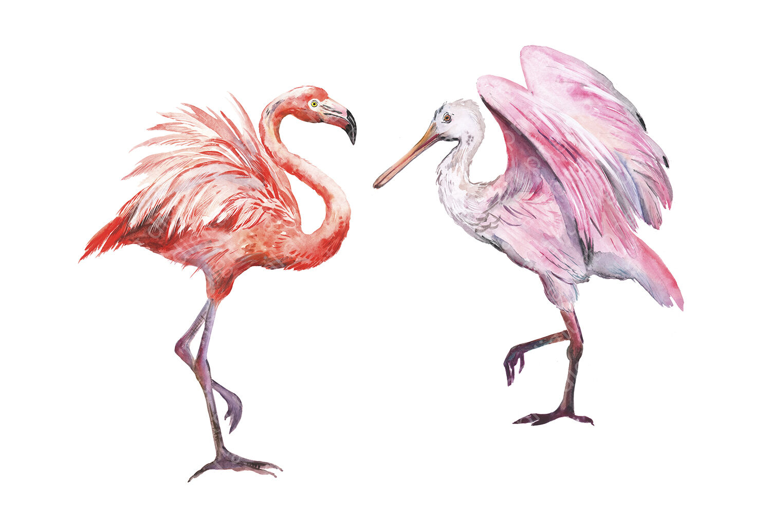 Download Watercolor tropical birds. Summer tropical flamingo ...