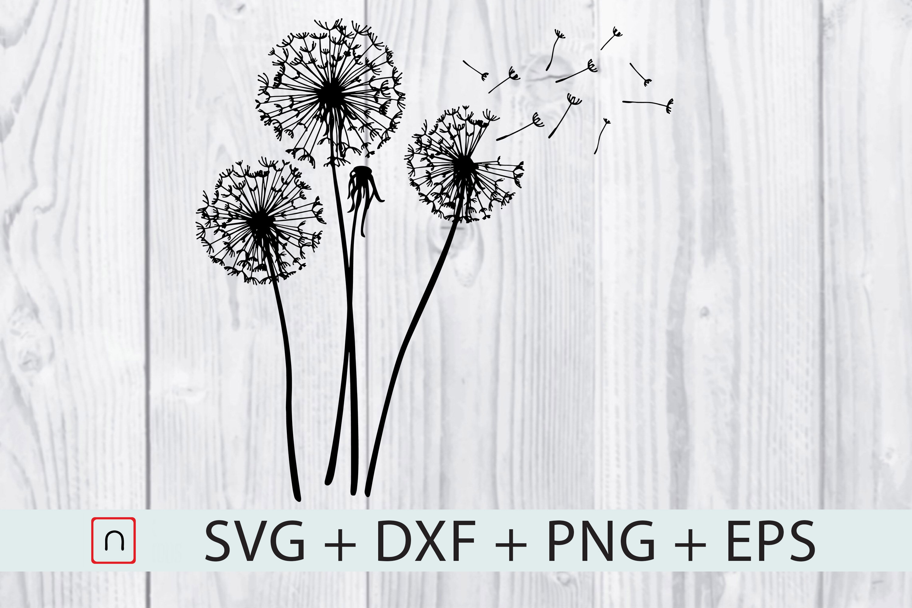 Download Dandelions SVG By Novalia | TheHungryJPEG.com