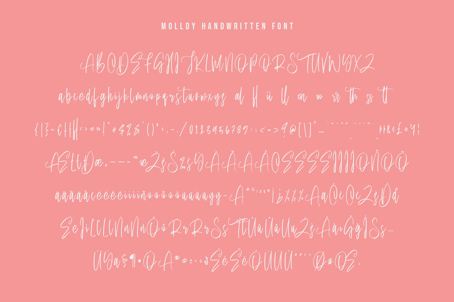 Molldy Handwritten Modern Script Font Brush Type By Maulana Creative Thehungryjpeg Com