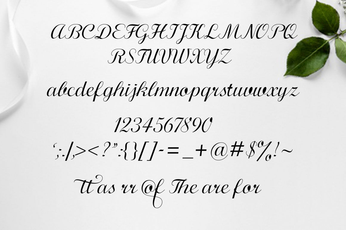 Calligraphy Script By Shape Studio Thehungryjpeg Com