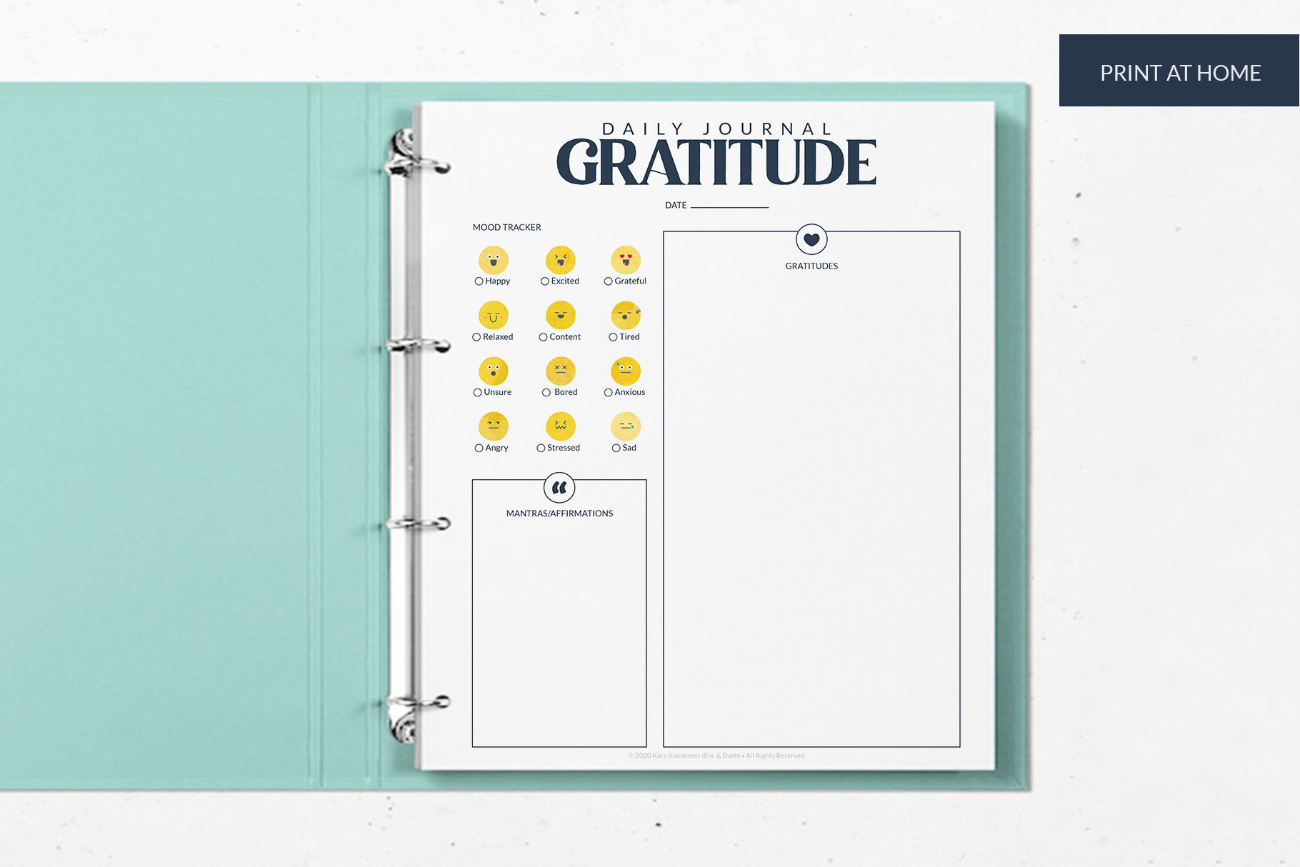 Daily Gratitude Journal Printable, Gratitude Journal PDF