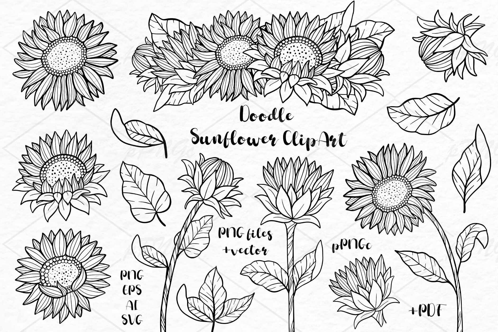 Doodle Sunflower Clipart By