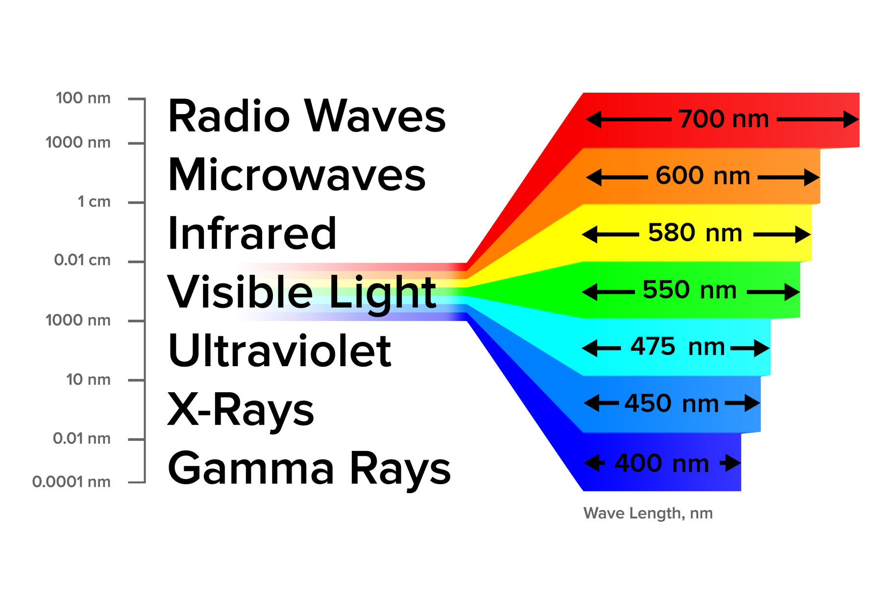 Spectrum Information Gamma Rays Scheme Vector By