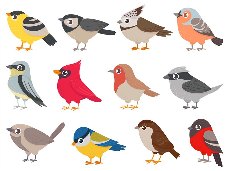colorful bird clipart
