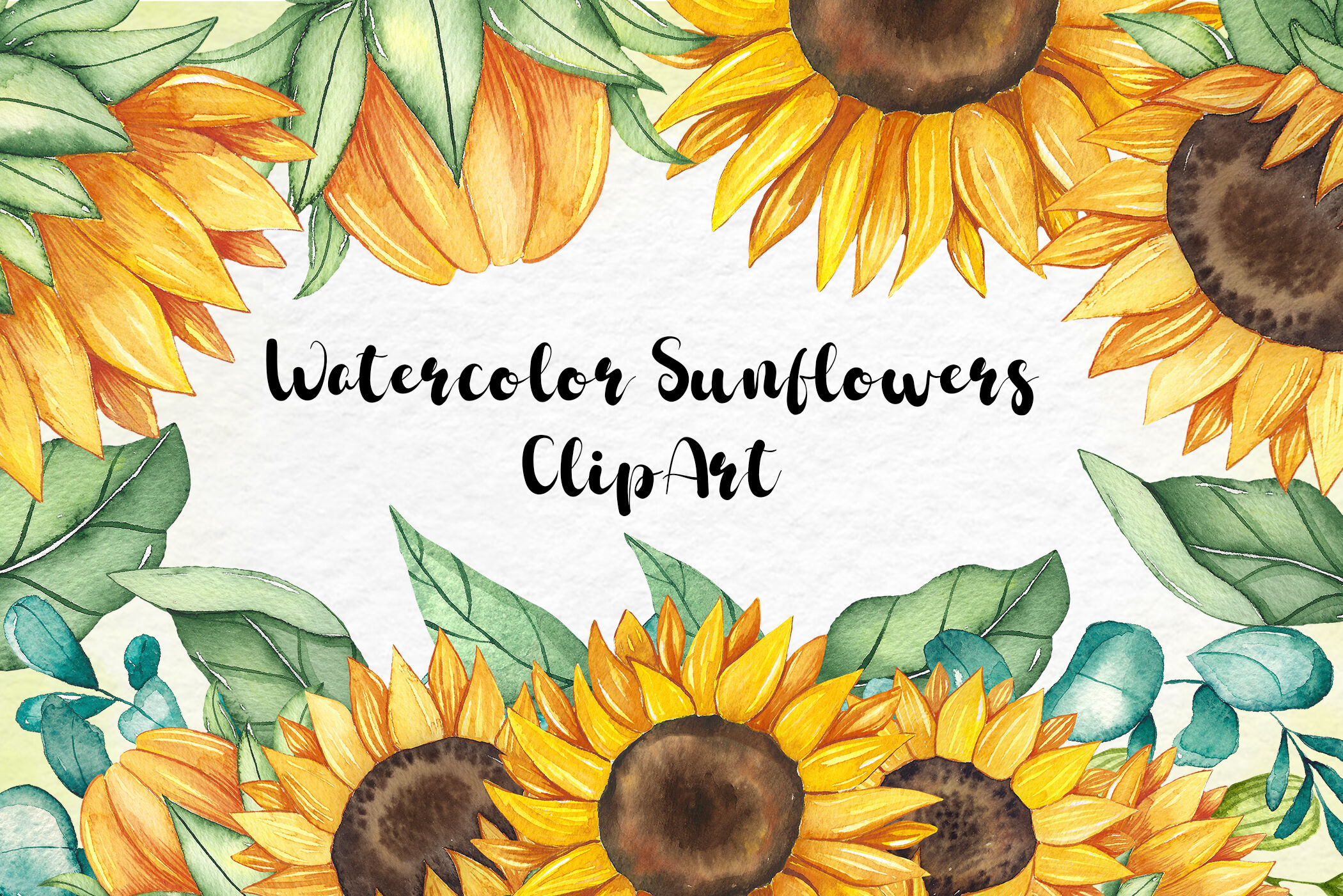 Watercolor sunflower design elements Sunflower watercolor decoration clip art pack Sunflower wedding invitation shirt or mug graphic.