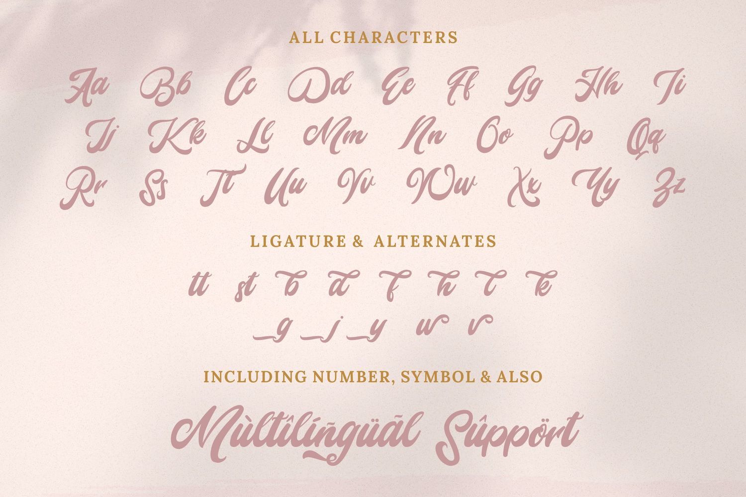 Mady Risaw Modern Script Font By Stringlabs Thehungryjpeg Com