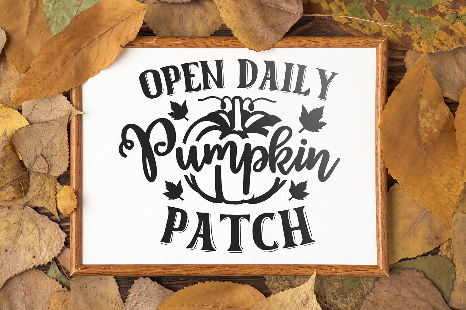 Open Daily Pumpkin Patch Pumpkin Svg Fall Svg Dxf Png By Craftlabsvg Thehungryjpeg Com