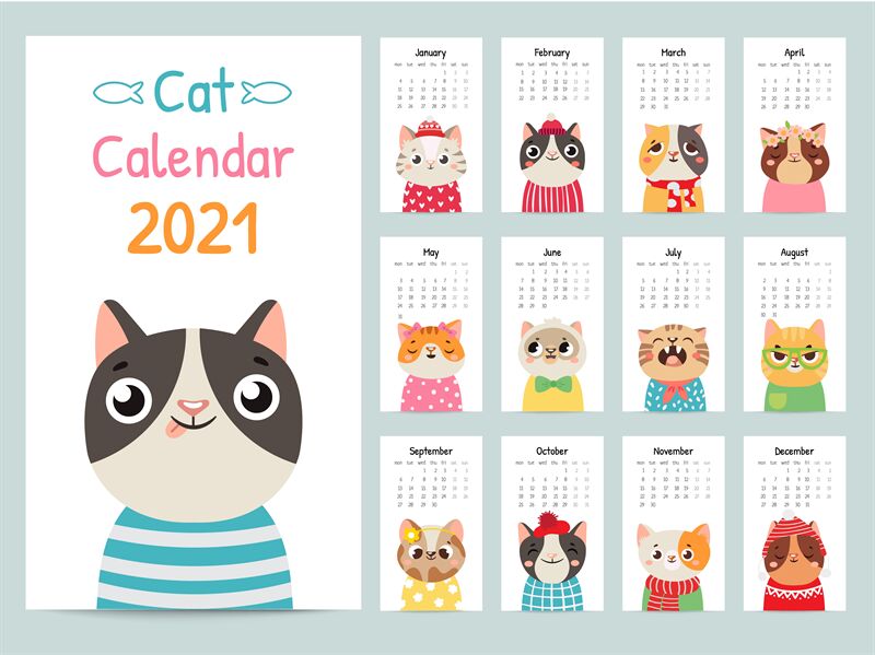 Cat calendar. Color gift 2021 calendar with cute cats. Funny kitty muz