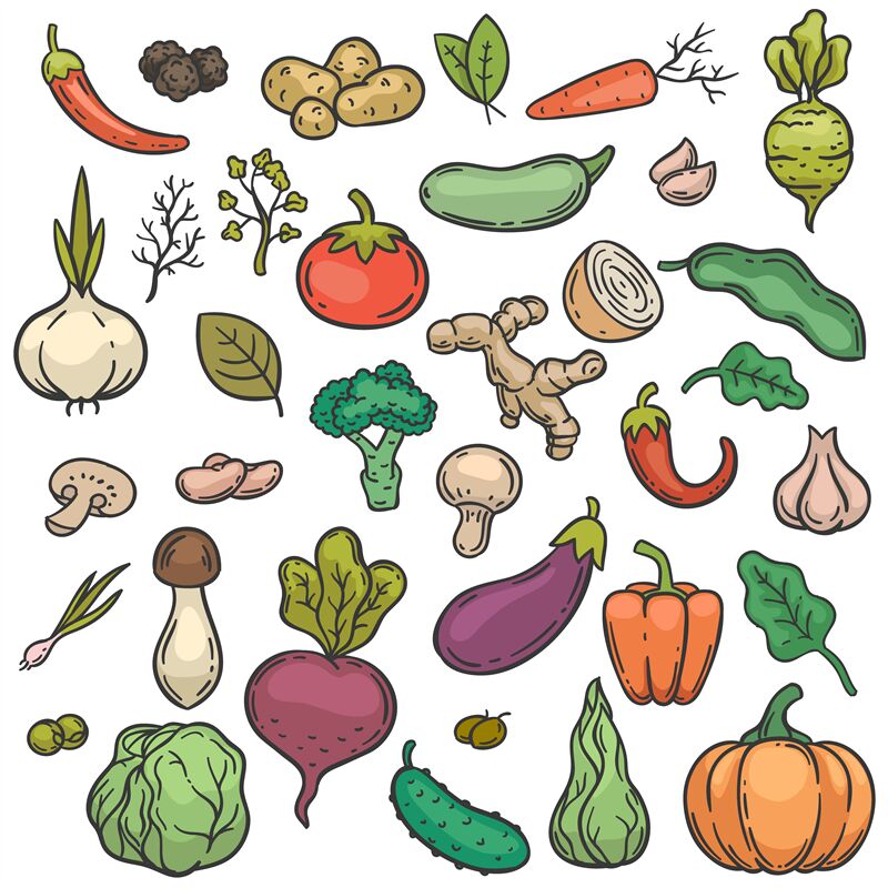 Sketch vegetables. Hand drawn color vegetable veggie product healthy d