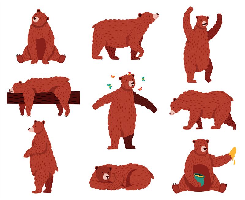 Brown grizzly bear. Cartoon wild cute bears, forest fur animal, sittin By  WinWin_artlab | TheHungryJPEG